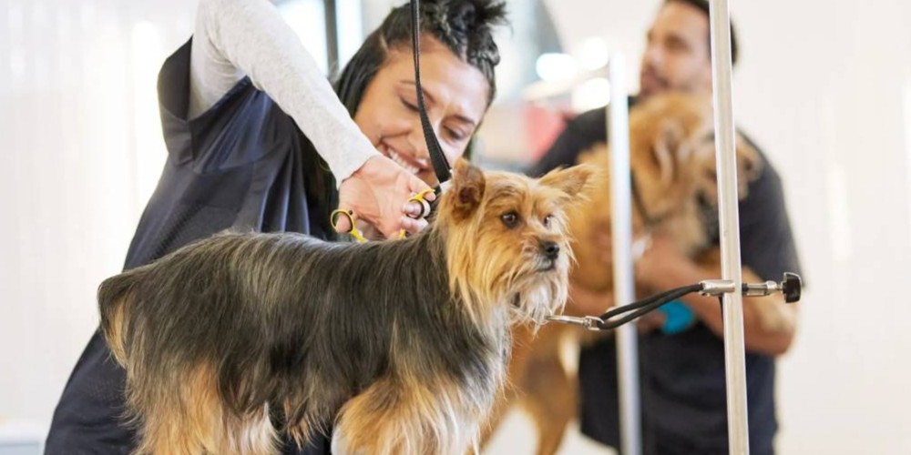 3abaa 2a0a 371 721 36dab2601462 8507c549 69b5 4408 b5b0 d78e82f0bbe6